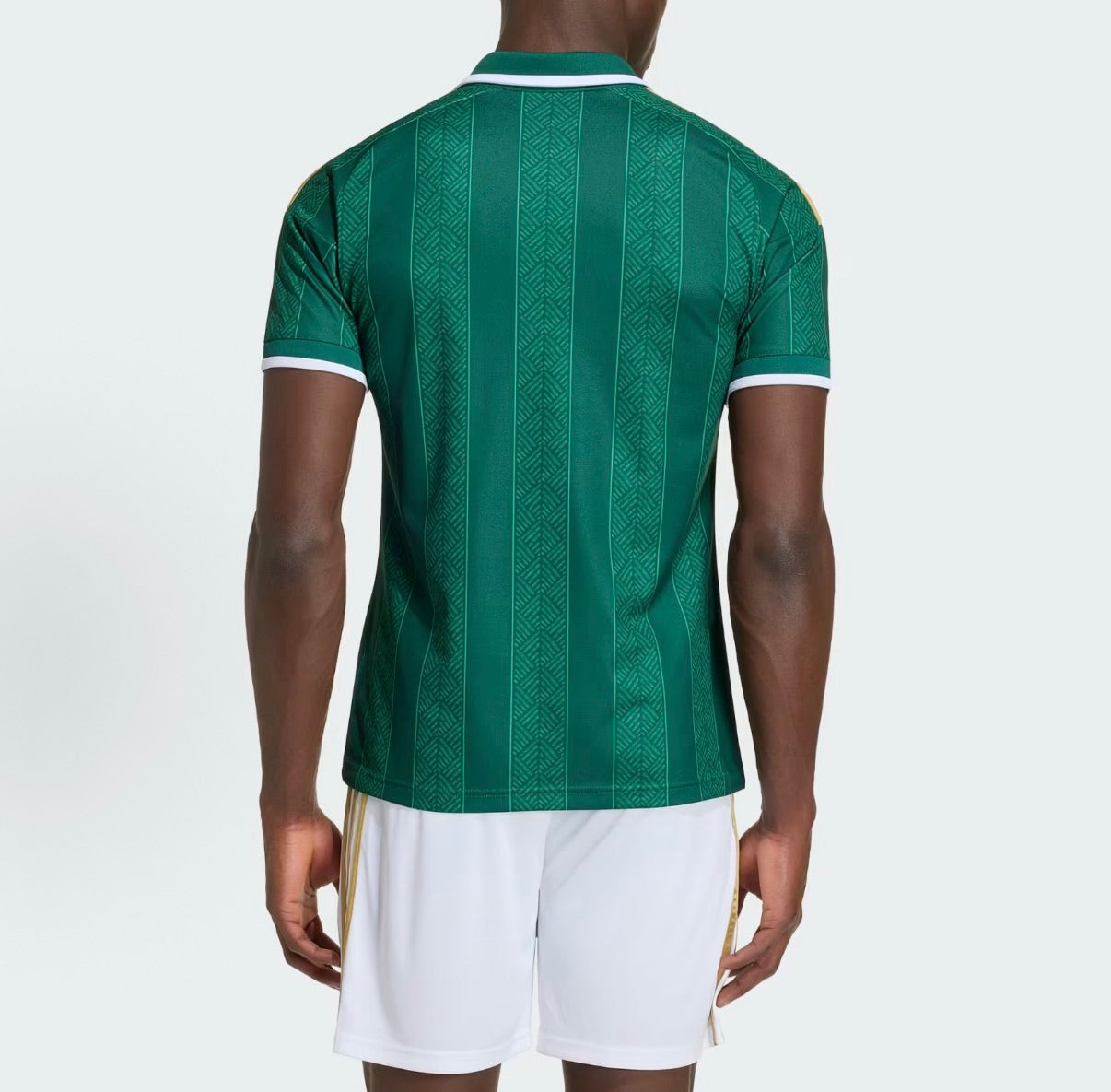 South Africa 2026 New Official Adult Home & Away Football Jerseys
