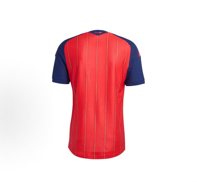 Spain 2026 New Official Adult Home & Away Football Jerseys