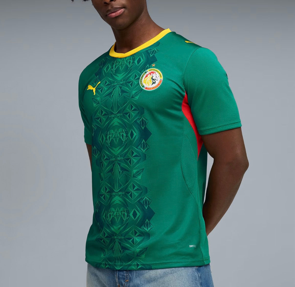 Senegal 2026 New Official Adult Home & Away Football Jerseys