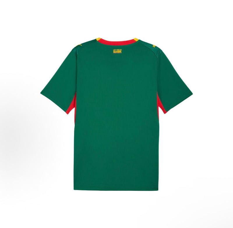 Senegal 2026 New Official Adult Home & Away Football Jerseys