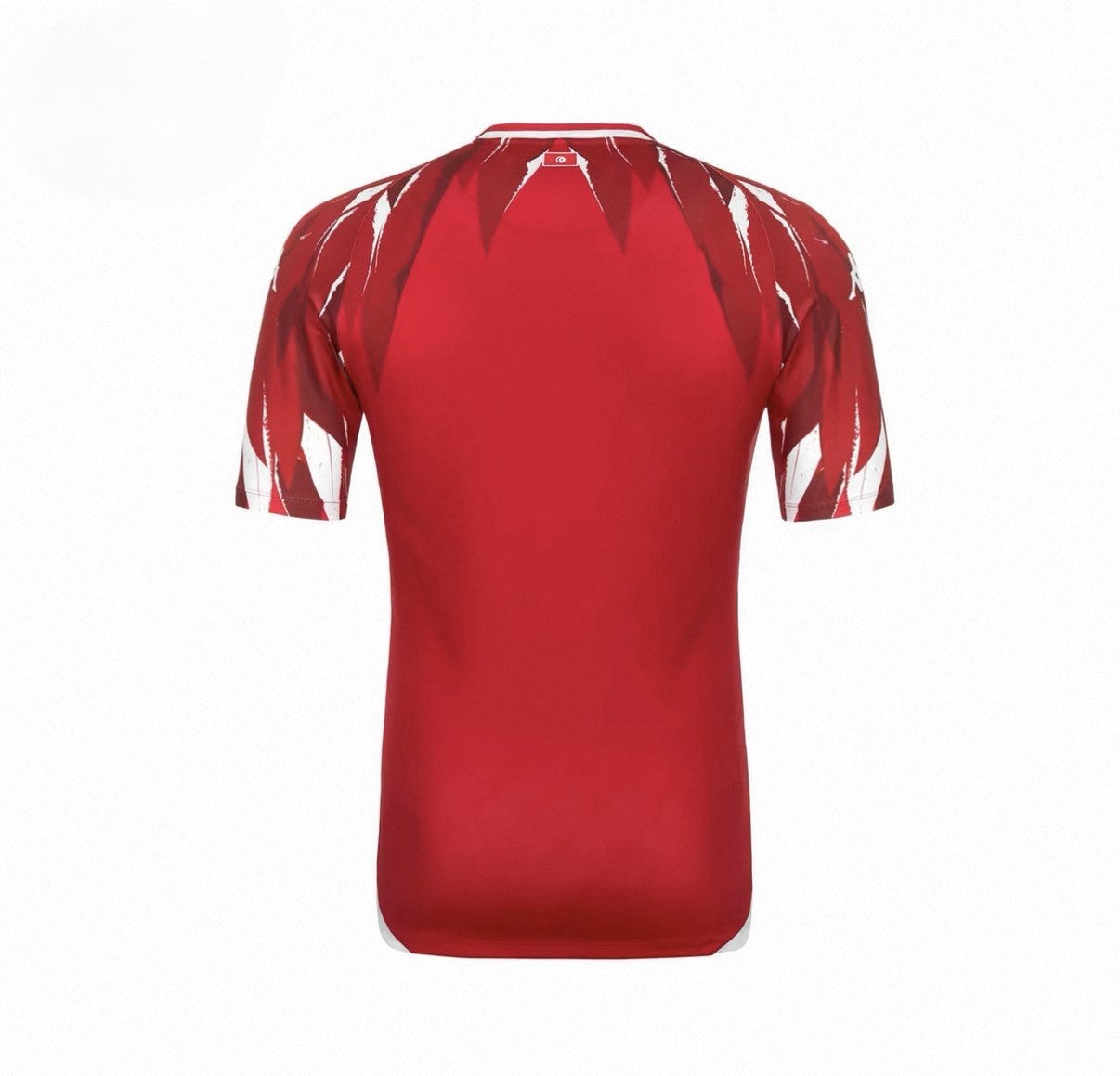 Tunisia 2026 New Official Adult Home & Away Football Jerseys