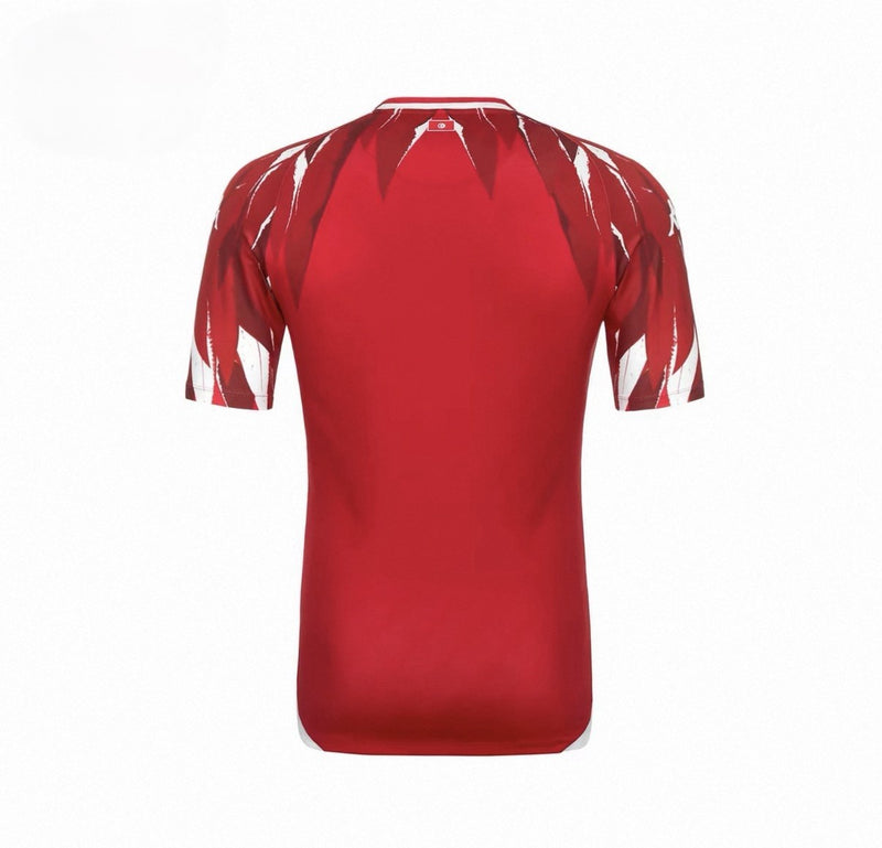 Tunisia 2026 New Official Adult Home & Away Football Jerseys