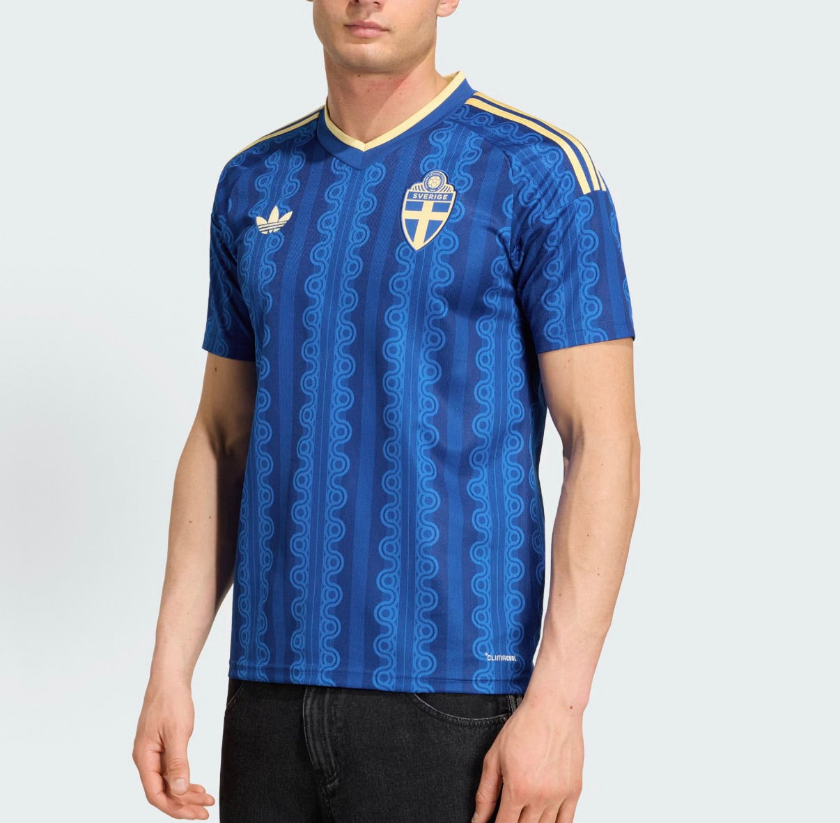 Sweden 2026 New Official Adult Home & Away Football Jerseys