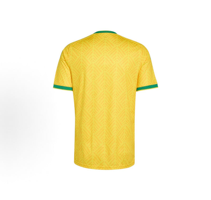 South Africa 2026 New Official Adult Home & Away Football Jerseys